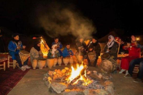 nights desert camp